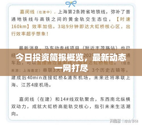 今日投资简报概览，最新动态一网打尽