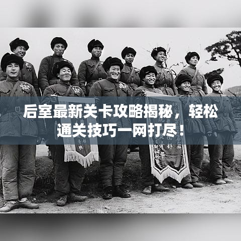 后室最新关卡攻略揭秘，轻松通关技巧一网打尽！