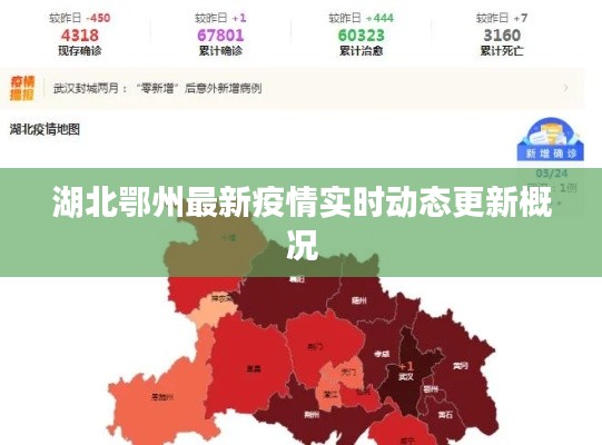 湖北鄂州最新疫情实时动态更新概况