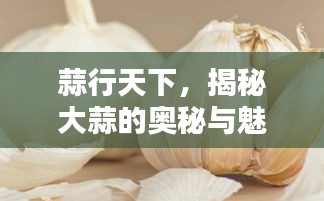 蒜行天下，揭秘大蒜的奥秘与魅力