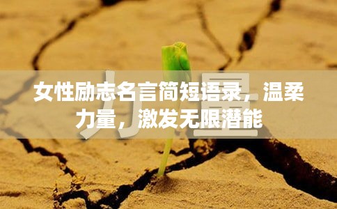 火伞高张