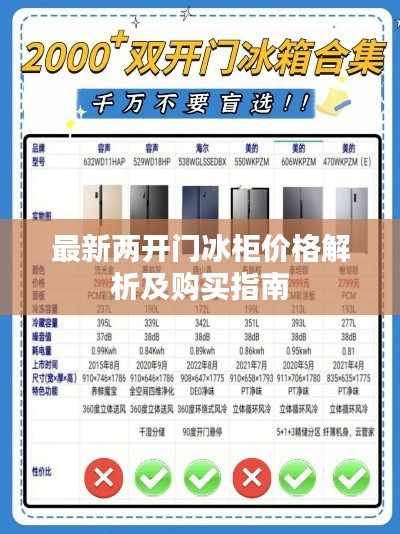 最新两开门冰柜价格解析及购买指南