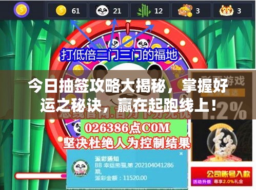 今日抽签攻略大揭秘，掌握好运之秘诀，赢在起跑线上！