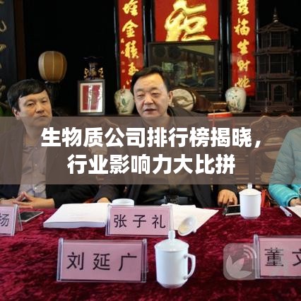 生物质公司排行榜揭晓，行业影响力大比拼