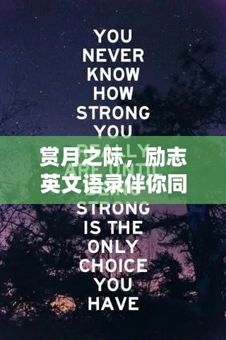 赏月之际，励志英文语录伴你同行