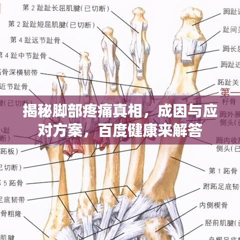 揭秘脚部疼痛真相，成因与应对方案，百度健康来解答