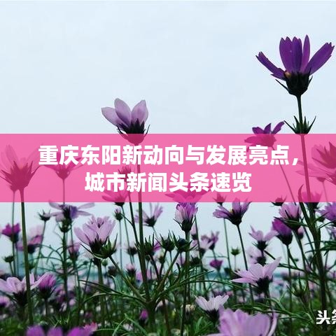 重庆东阳新动向与发展亮点，城市新闻头条速览