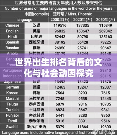 世界出生排名背后的文化与社会动因探究
