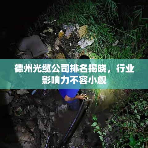 德州光缆公司排名揭晓，行业影响力不容小觑