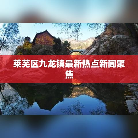 莱芜区九龙镇最新热点新闻聚焦
