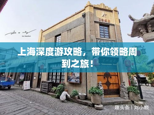 小鸟伊人
