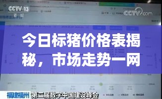 今日标猪价格表揭秘，市场走势一网打尽——百度数据揭示真相