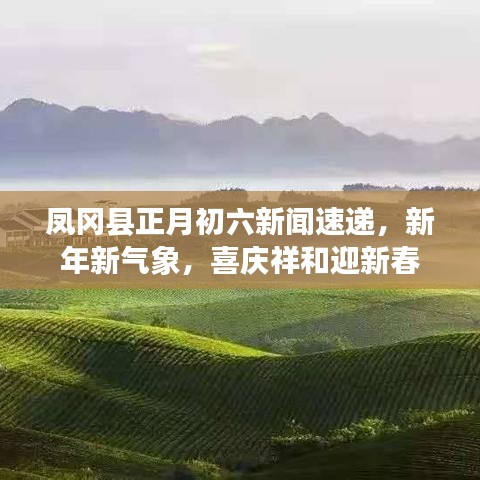 一丝不苟