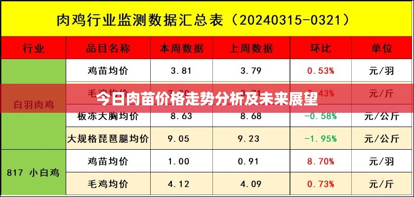 今日肉苗价格走势分析及未来展望