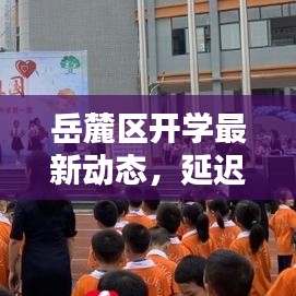 催化材料 第10页