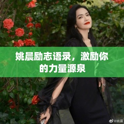 姚晨励志语录，激励你的力量源泉