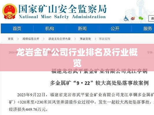 龙岩金矿公司行业排名及行业概览