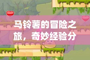 马铃薯的冒险之旅，奇妙经验分享，探索马铃薯的无限可能