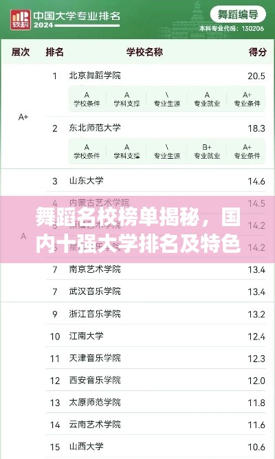 舞蹈名校榜单揭秘，国内十强大学排名及特色解析