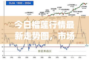 今日榴莲行情最新走势图，市场趋势与消费者反应深度解析