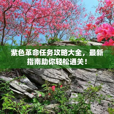 紫色革命任务攻略大全，最新指南助你轻松通关！
