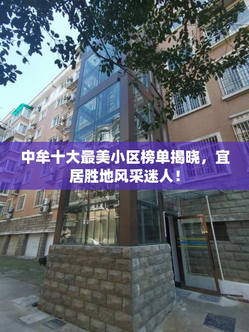 2025年5月1日 第4页