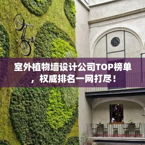 2025年5月3日 第2页