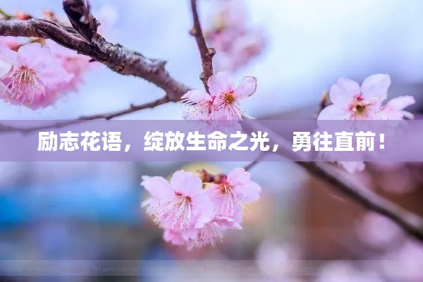箪瓢陋室