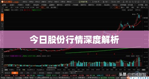明夷于飞