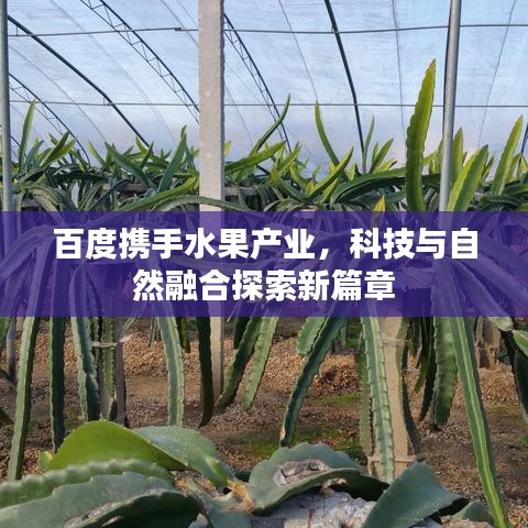 2025年5月9日 第3页