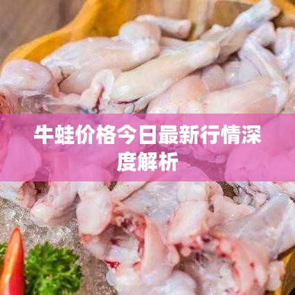 不耻下问