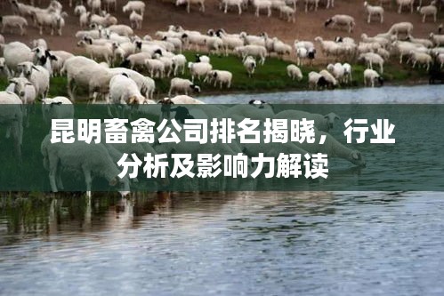 2025年5月14日 第5页
