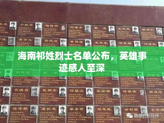 张张屈屈
