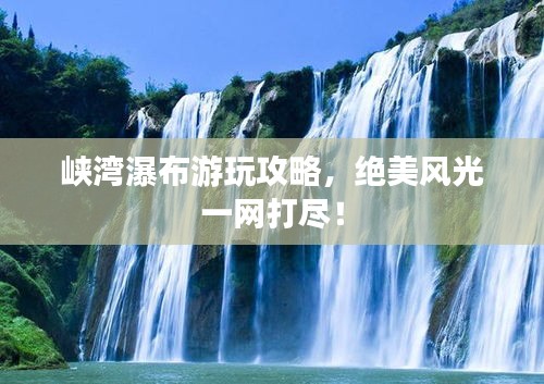 狗尾续貂