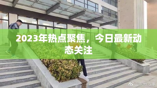 雍容华贵