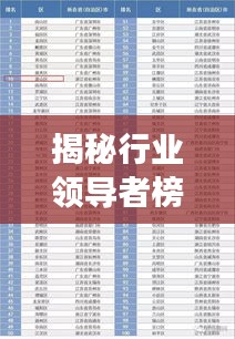 揭秘行业领导者榜单，洞悉公司未来发展趋势排名！