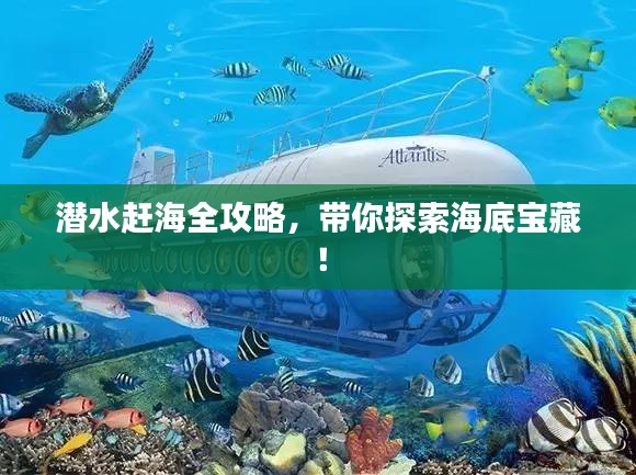 2025年5月24日 第3页