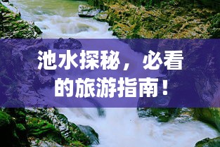 池水探秘，必看的旅游指南！