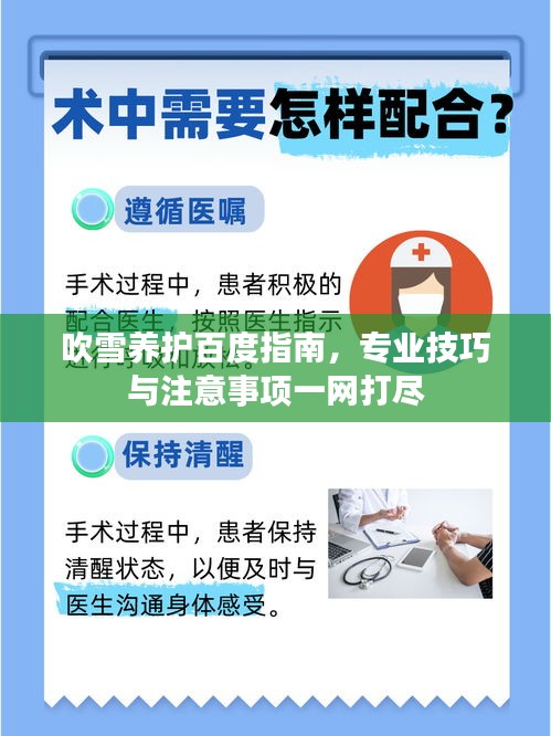 吹雪养护百度指南，专业技巧与注意事项一网打尽