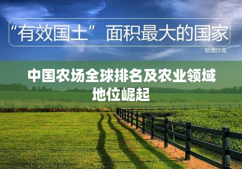 中国农场全球排名及农业领域地位崛起