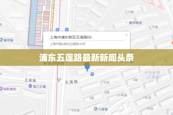 浦东五莲路最新新闻头条
