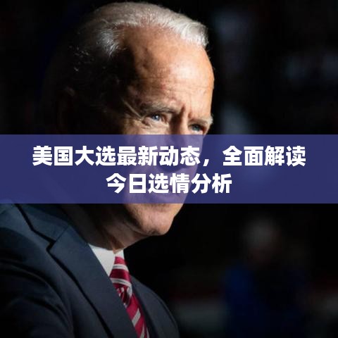 美国大选最新动态，全面解读今日选情分析