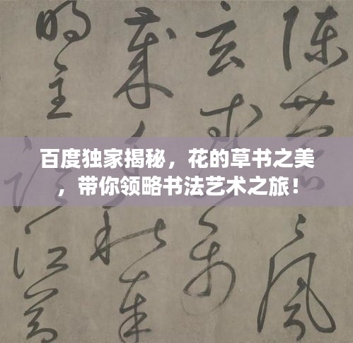 百度独家揭秘，花的草书之美，带你领略书法艺术之旅！