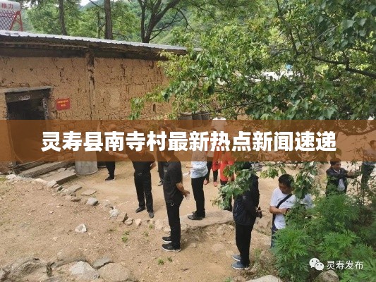 灵寿县南寺村最新热点新闻速递