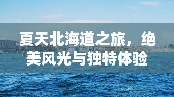 夏天北海道之旅，绝美风光与独特体验一网打尽！