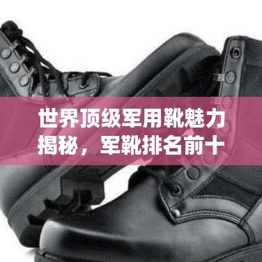 世界顶级军用靴魅力揭秘，军靴排名前十，功能与魅力一览