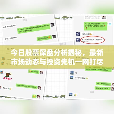 今日股票深盘分析揭秘，最新市场动态与投资先机一网打尽