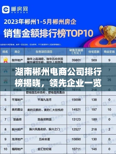 湖南郴州电商公司排行榜揭晓，领先企业一览