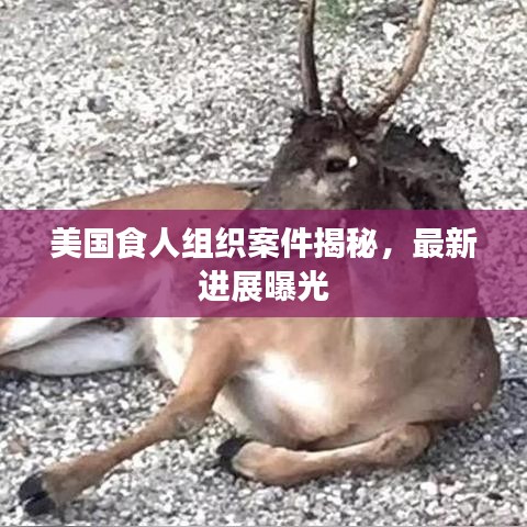 美国食人组织案件揭秘，最新进展曝光