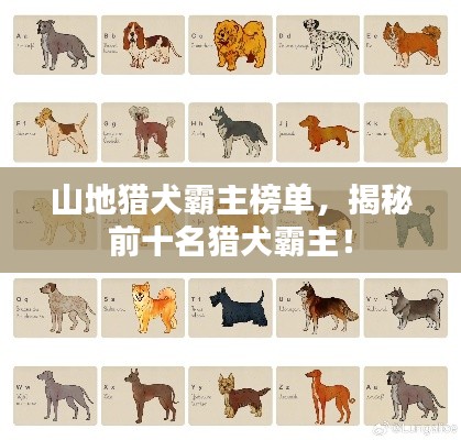 山地猎犬霸主榜单，揭秘前十名猎犬霸主！